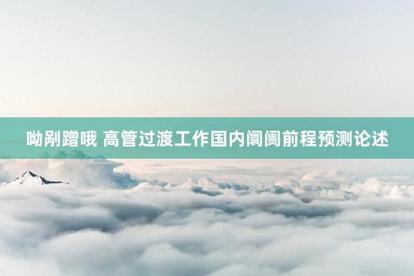 呦剐蹭哦 高管过渡工作国内阛阓前程预测论述