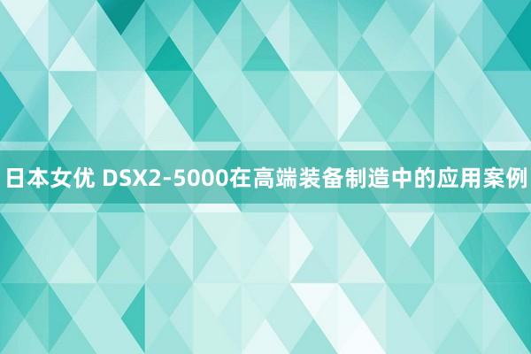 日本女优 DSX2-5000在高端装备制造中的应用案例