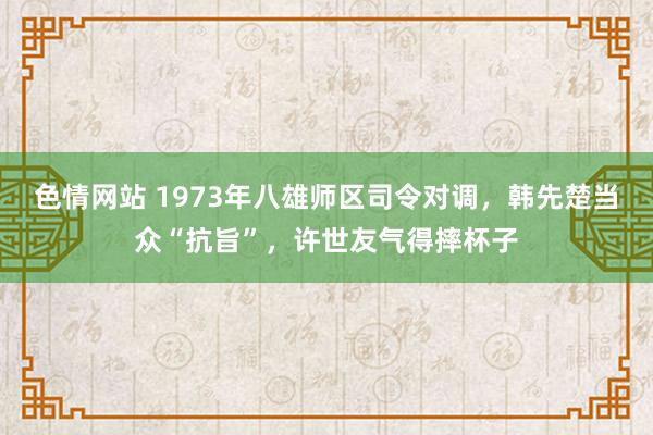 色情网站 1973年八雄师区司令对调，韩先楚当众“抗旨”，许世友气得摔杯子