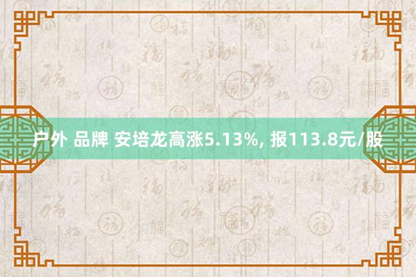 户外 品牌 安培龙高涨5.13%， 报113.8元/股