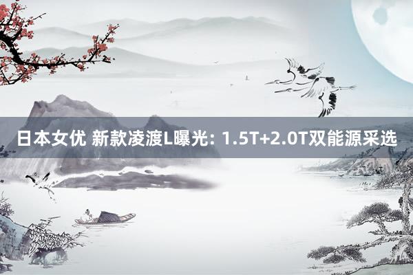 日本女优 新款凌渡L曝光: 1.5T+2.0T双能源采选