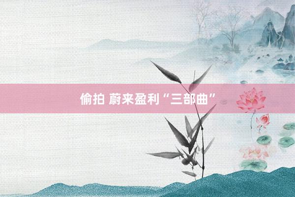 偷拍 蔚来盈利“三部曲”